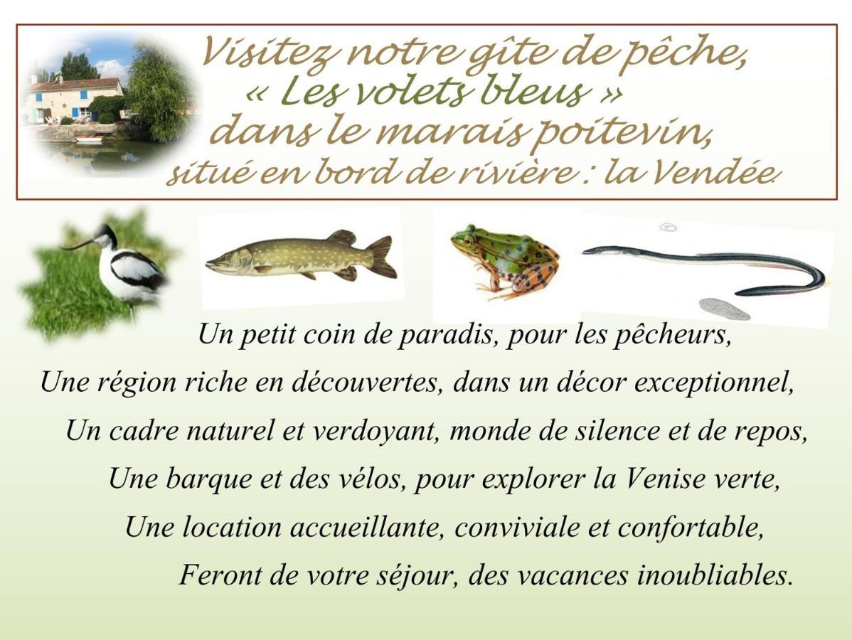 Marais Poitevin Bord Riviere Peche ,Barque, Velos, Wifi, Linge, Cheminee, Cuisine, Terrain De Boules La Taillee Екстериор снимка
