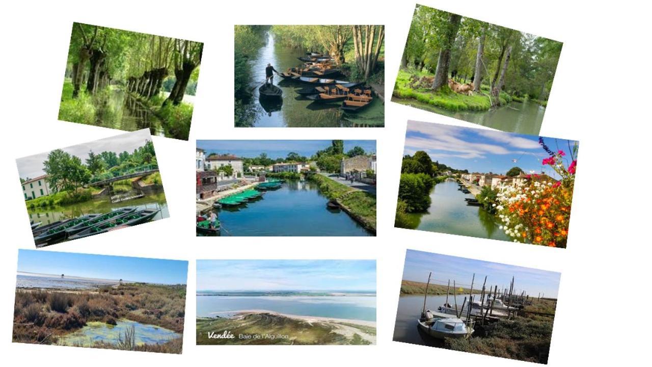 Marais Poitevin Bord Riviere Peche ,Barque, Velos, Wifi, Linge, Cheminee, Cuisine, Terrain De Boules La Taillee Екстериор снимка